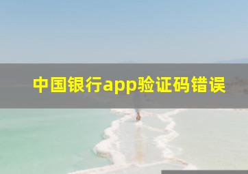 中国银行app验证码错误