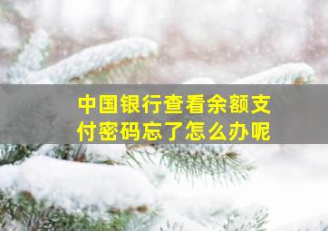 中国银行查看余额支付密码忘了怎么办呢