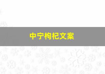 中宁枸杞文案