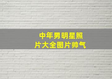 中年男明星照片大全图片帅气