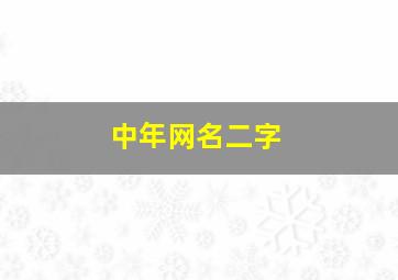 中年网名二字