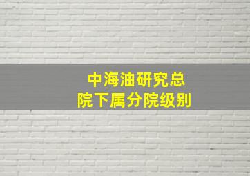 中海油研究总院下属分院级别