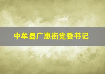 中牟县广惠街党委书记