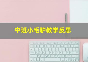 中班小毛驴教学反思