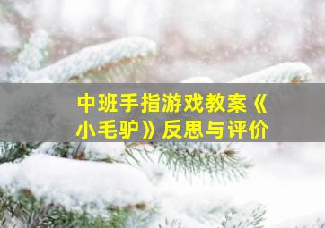 中班手指游戏教案《小毛驴》反思与评价