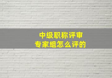 中级职称评审专家组怎么评的