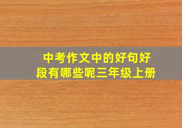 中考作文中的好句好段有哪些呢三年级上册