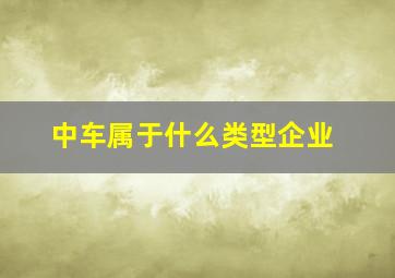 中车属于什么类型企业