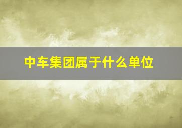 中车集团属于什么单位