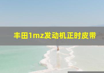 丰田1mz发动机正时皮带