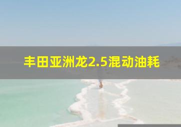 丰田亚洲龙2.5混动油耗