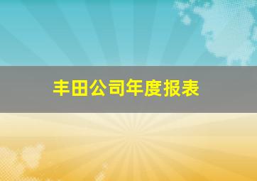 丰田公司年度报表