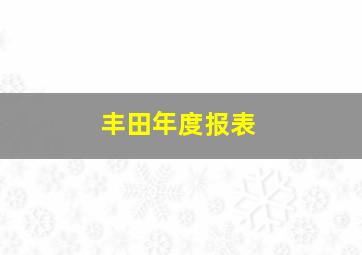 丰田年度报表