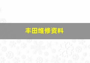 丰田维修资料