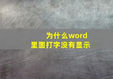 为什么word里面打字没有显示