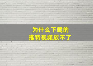 为什么下载的推特视频放不了