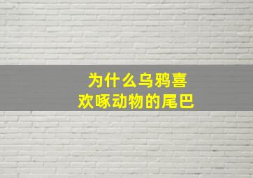 为什么乌鸦喜欢啄动物的尾巴