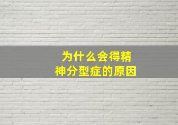 为什么会得精神分型症的原因