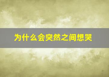 为什么会突然之间想哭