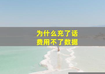 为什么充了话费用不了数据