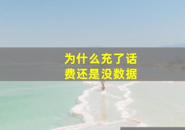 为什么充了话费还是没数据