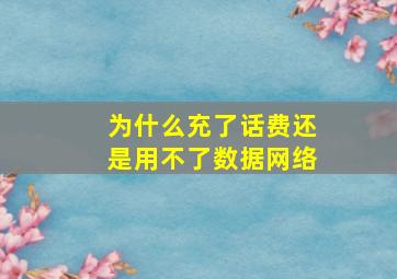 为什么充了话费还是用不了数据网络