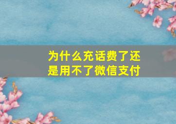 为什么充话费了还是用不了微信支付