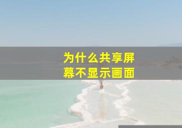 为什么共享屏幕不显示画面