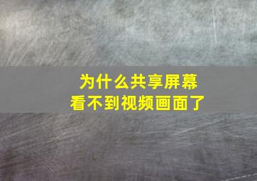 为什么共享屏幕看不到视频画面了