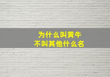 为什么叫黄牛不叫其他什么名