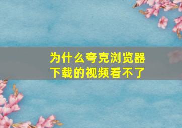 为什么夸克浏览器下载的视频看不了