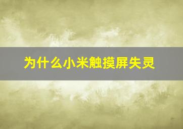 为什么小米触摸屏失灵