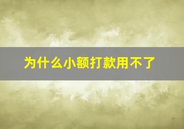 为什么小额打款用不了