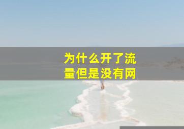 为什么开了流量但是没有网