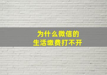 为什么微信的生活缴费打不开