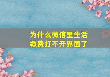 为什么微信里生活缴费打不开界面了