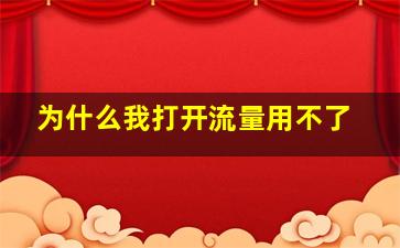 为什么我打开流量用不了