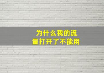 为什么我的流量打开了不能用