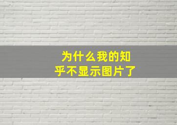 为什么我的知乎不显示图片了