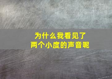 为什么我看见了两个小度的声音呢