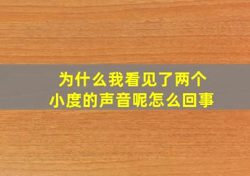 为什么我看见了两个小度的声音呢怎么回事