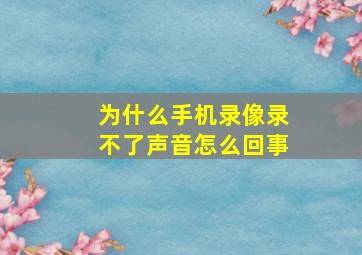 为什么手机录像录不了声音怎么回事