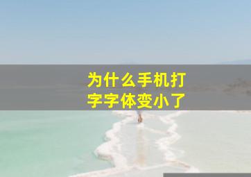 为什么手机打字字体变小了