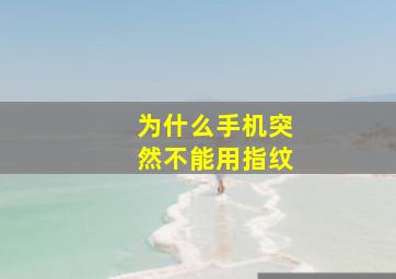 为什么手机突然不能用指纹