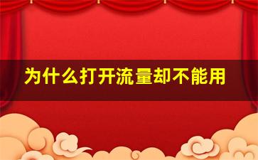 为什么打开流量却不能用