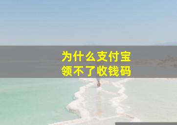 为什么支付宝领不了收钱码