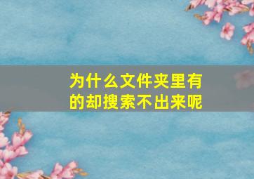 为什么文件夹里有的却搜索不出来呢