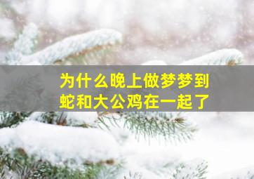 为什么晚上做梦梦到蛇和大公鸡在一起了