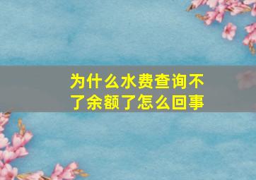 为什么水费查询不了余额了怎么回事