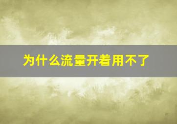 为什么流量开着用不了